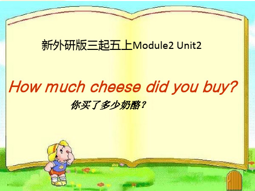 外研社英语M2U2《Howmuchcheesedidyoubuy》课件