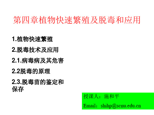 植物的快繁与脱毒培养