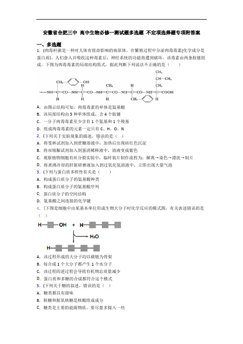 安徽省合肥三中 高中生物必修一测试题多选题 不定项选择题专项附答案