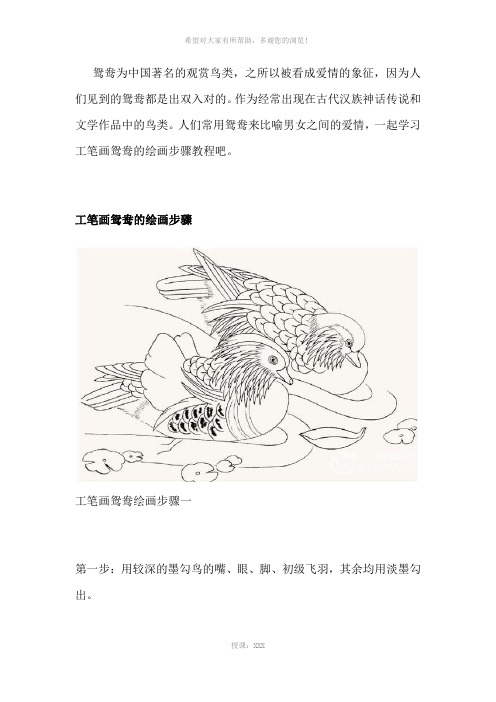 工笔画鸳鸯的绘画入门步骤教程