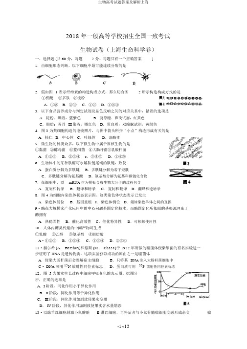 生物高考试题答案及解析上海