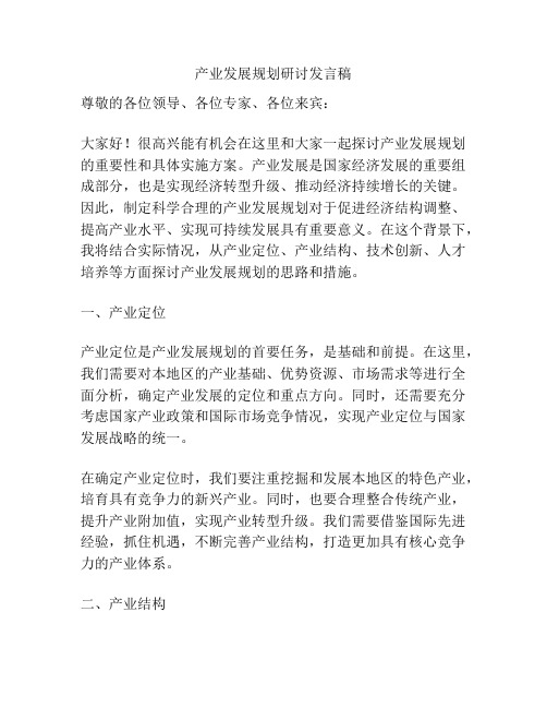 产业发展规划研讨发言稿