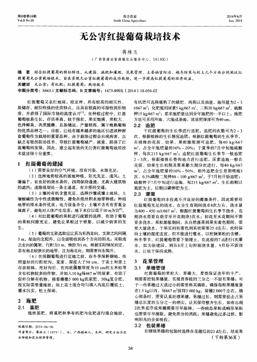 无公害红提葡萄栽培技术