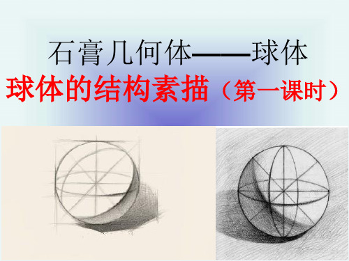 岭南版八年级下册美术：5 明暗的造型 (2)