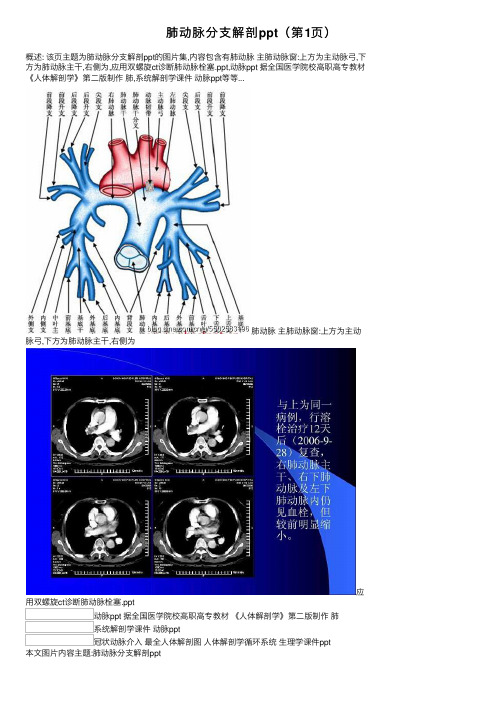 肺动脉分支解剖ppt（第1页）