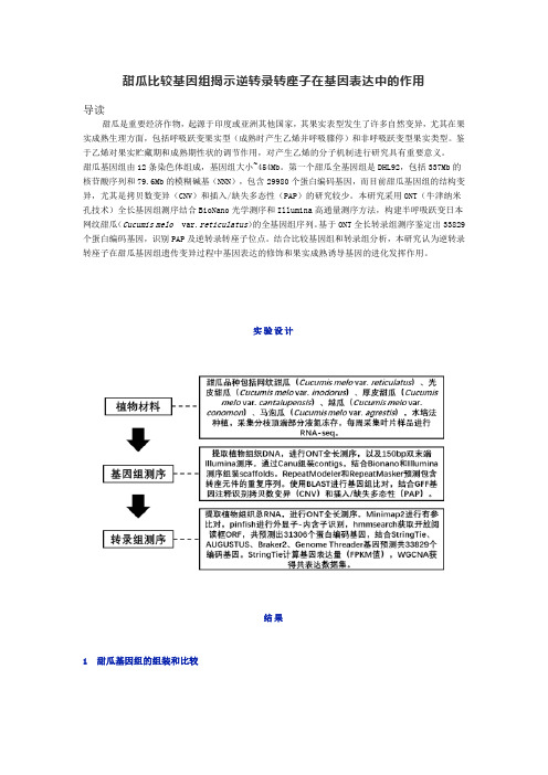 甜瓜比较基因组揭示逆转录转座子在基因表达中的作用