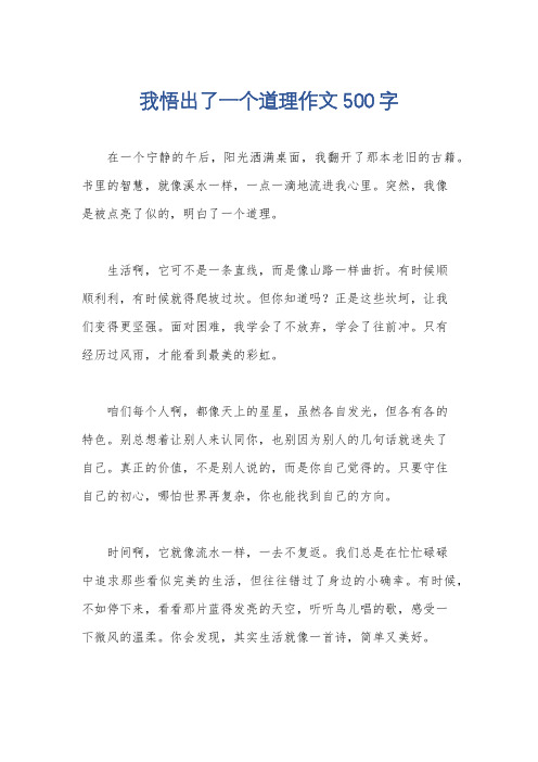 我悟出了一个道理作文500字