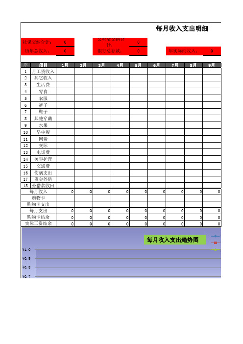 个人收支明细表(1)