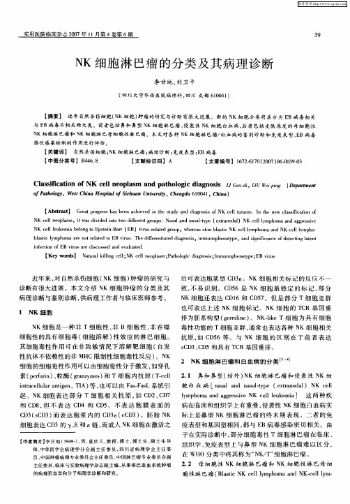 NK细胞淋巴瘤的分类及其病理诊断