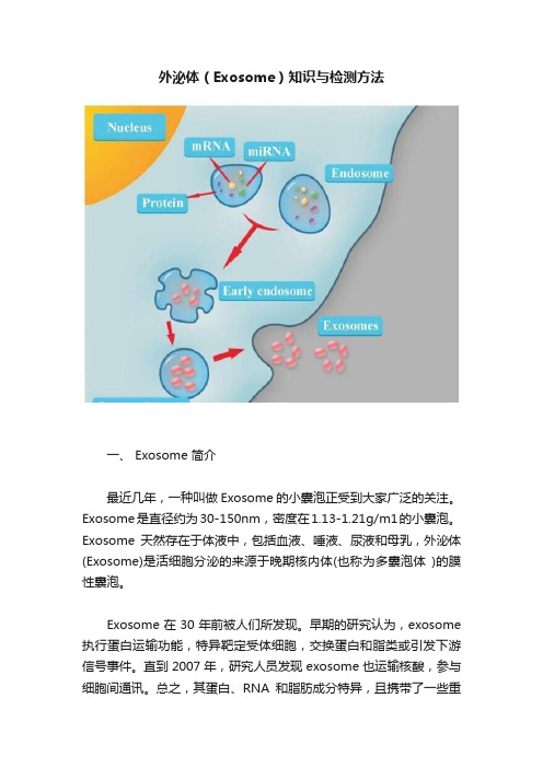 外泌体（Exosome）知识与检测方法