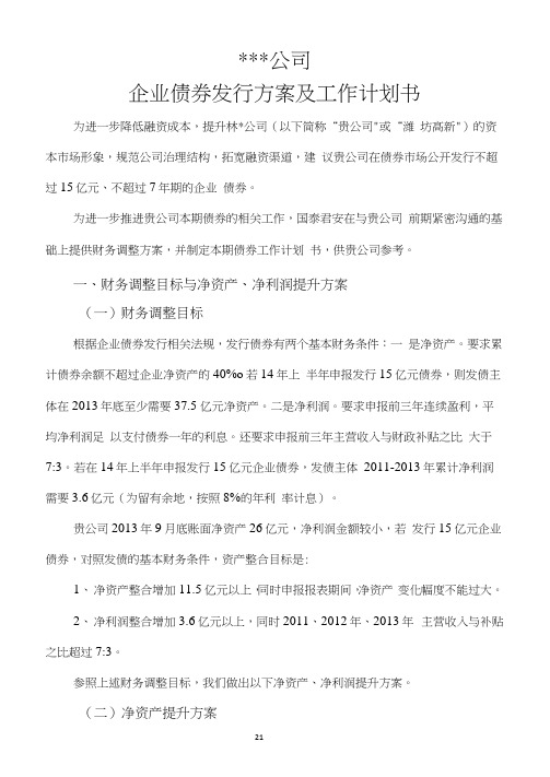 企业债券发行方案及工作计划