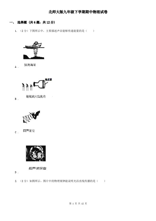 北师大版九年级下学期期中物理试卷