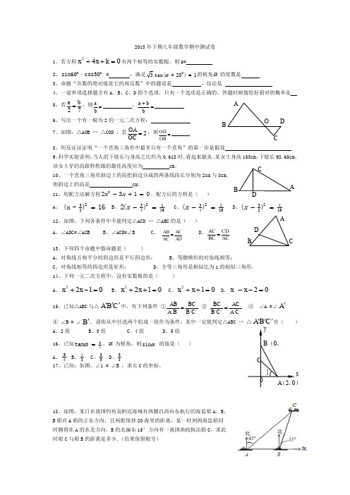 2013年下期九年级数学期中测试卷.doc