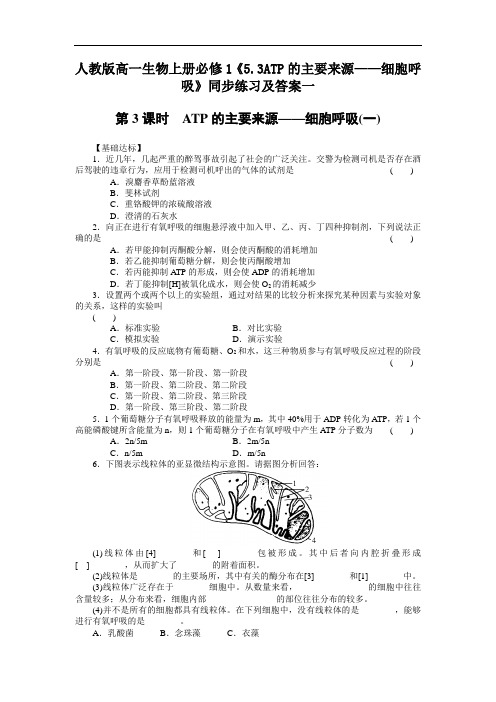 2020人教版高一生物上册必修1《53ATP的主要来源—细胞呼吸》【含答案】