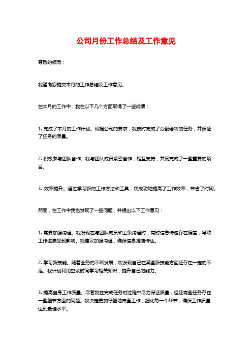 公司月份工作总结及工作意见