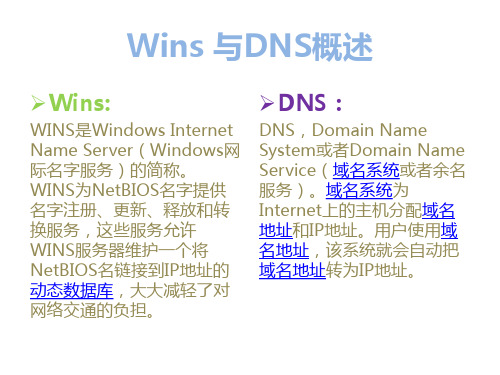 WINS与DNS区别