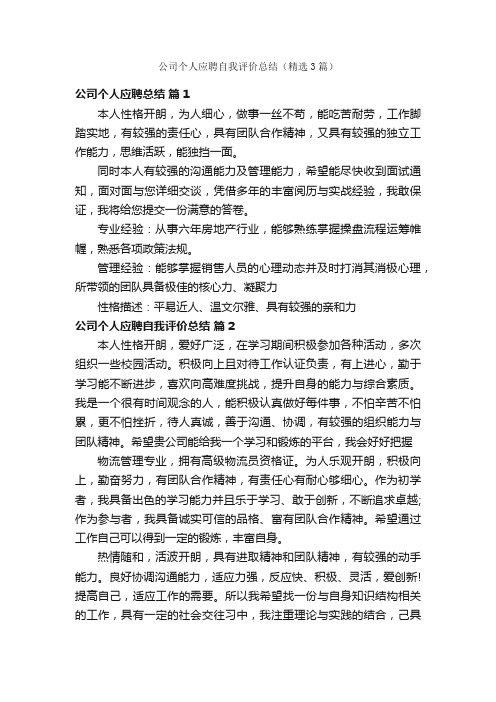 公司个人应聘自我评价总结（精选3篇）