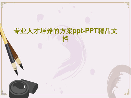 专业人才培养的方案ppt-PPT精品文档PPT共38页