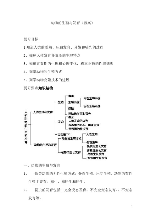 动物的生殖与发育(教案)