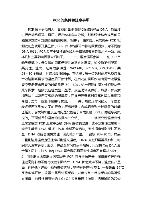 PCR的条件和注意事项