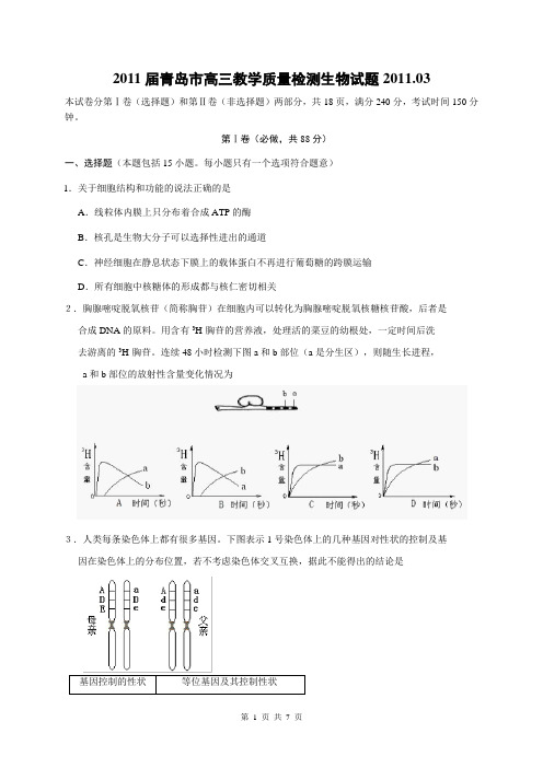 2011年青岛市高三教学质量检测生物试题