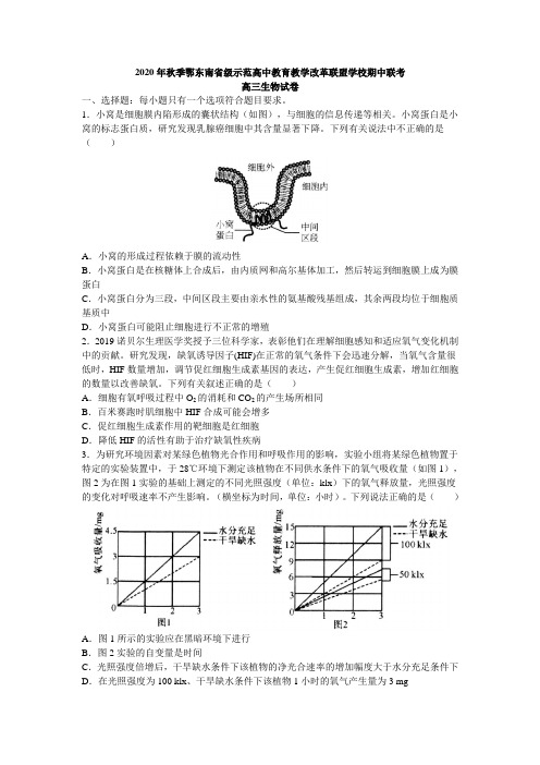 2020年湖北联考-高三生物试卷