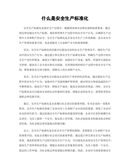 什么是安全生产标准化