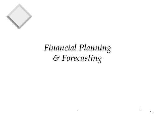 financial planning 财政计划(课堂PPT)