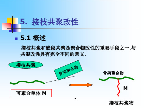 5.接枝共聚合