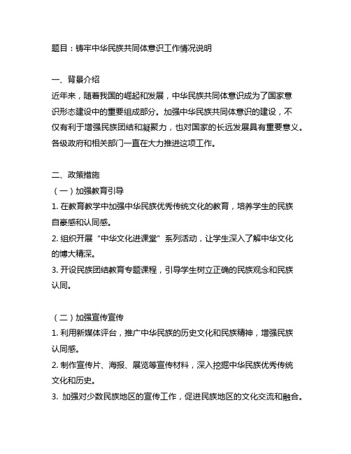 铸牢中华民族共同体意识工作情况说明