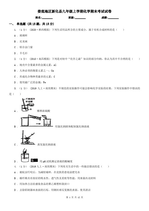 娄底地区新化县九年级上学期化学期末考试试卷