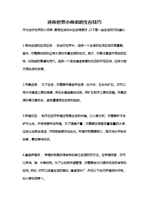 迷你世界小师弟的生存技巧