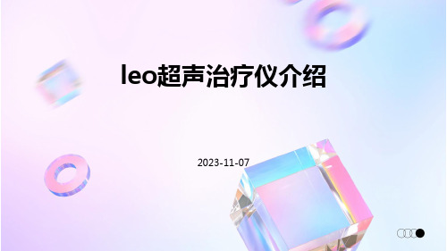 LEO超声治疗仪介绍