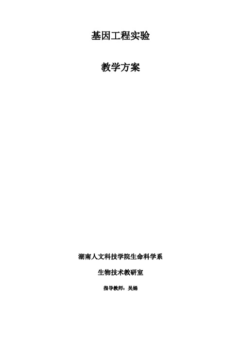 基因工程实验教学教案