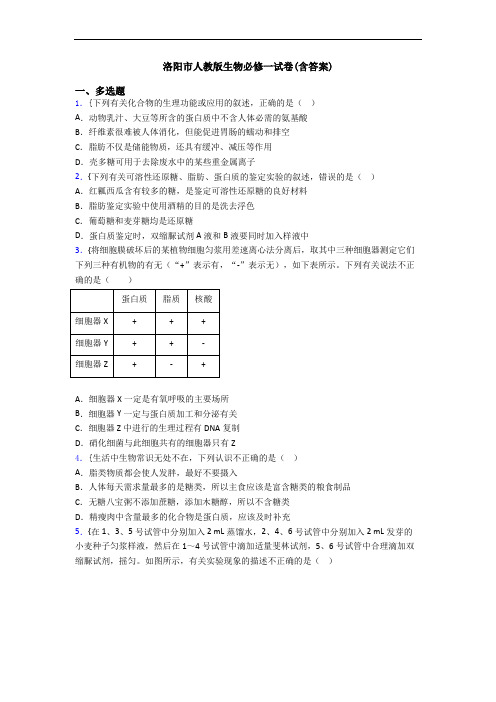 洛阳市人教版生物必修一试卷(含答案)