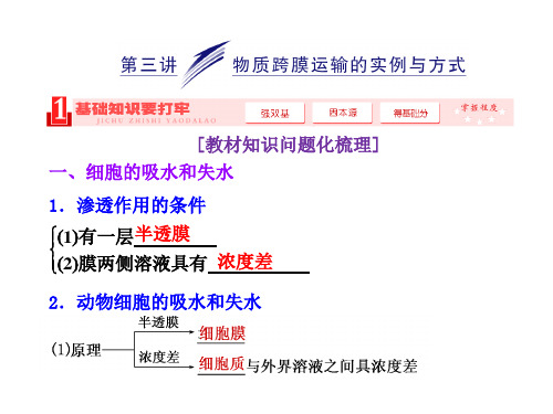 2014高考生物一轮复习高频考点通关讲练：2.3物质跨膜运输的实例与方式