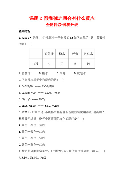 人教版九年级化学下册第十单元课题2 酸和碱之间会有什么反应梯度能力训练