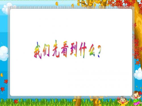 《我们先看到了根》课件