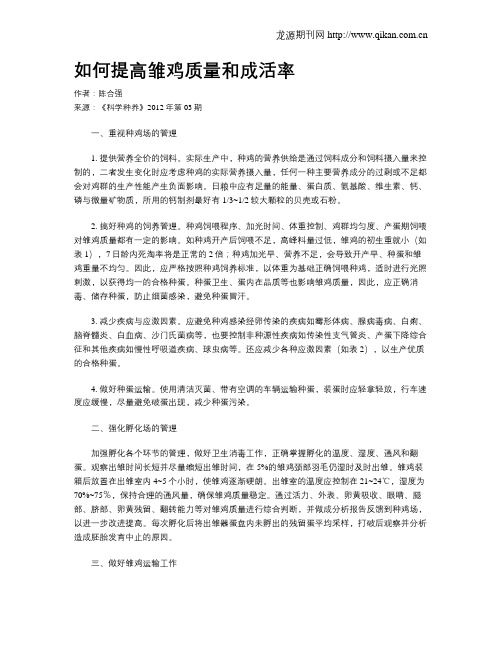 如何提高雏鸡质量和成活率