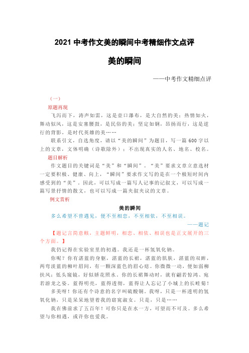 2021中考作文美的瞬间中考精细作文点评