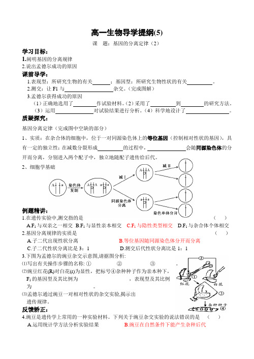 分离定律二