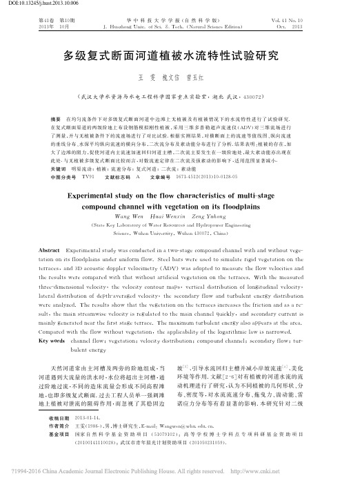 多级复式断面河道植被水流特性试验研究_王雯