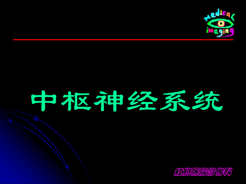 中枢神经系统正常影像表现