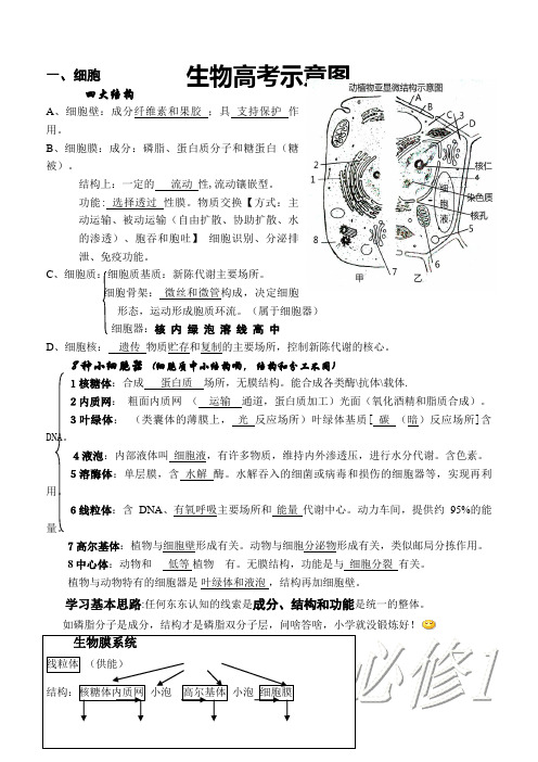 新课标生物高考示意图2019