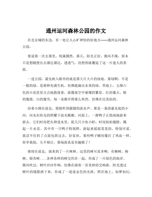 通州运河森林公园的作文