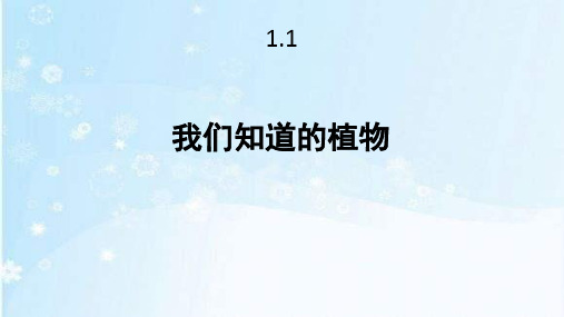 教科版一年级科学上册全册课件