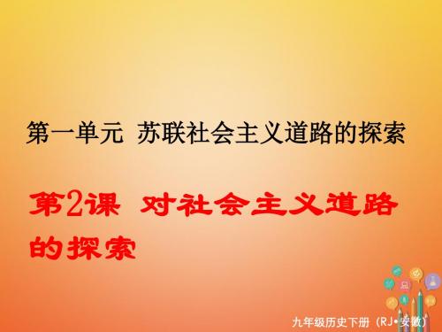 九年级历史下册第一单元苏联社会主义的探索第2课对社会主义道路的探索同步测试课件新人教版0227430