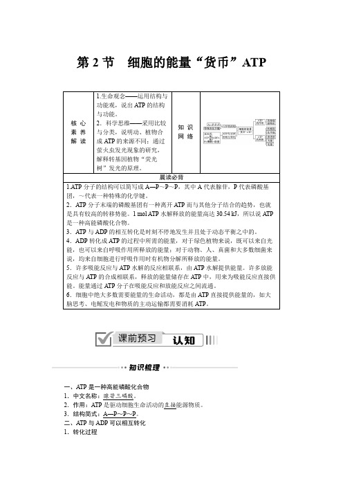 2022-2023学年 人教版   必修1细胞的能量“货币”ATP 教案