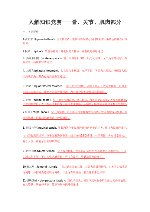 人体解剖学--骨、关节、肌肉试题整理题库