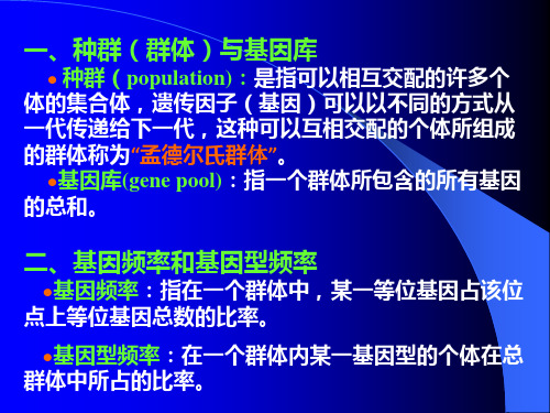 第十三章群体遗传与进化解析ppt课件